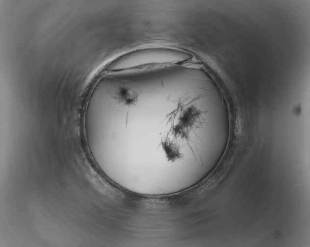 X0000116281356200912211810