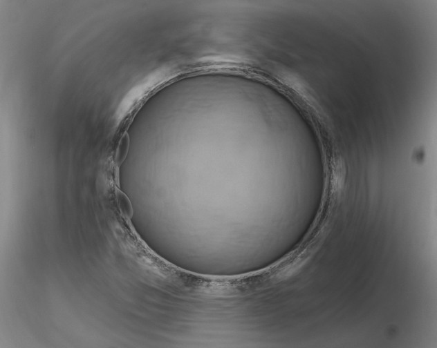 X0000116281357200912211810