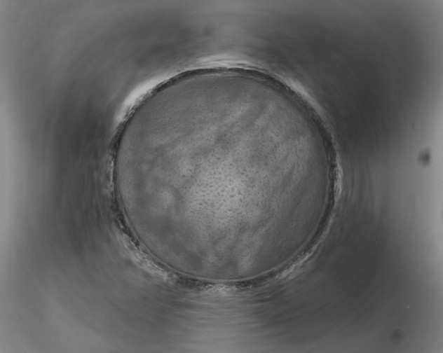 X0000116281358200912211810