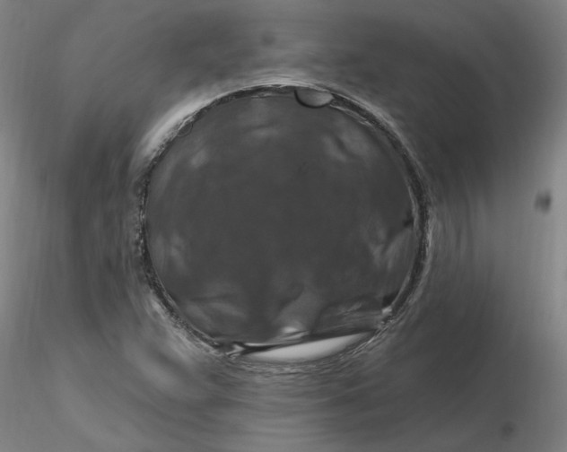 X0000116281359200912211810