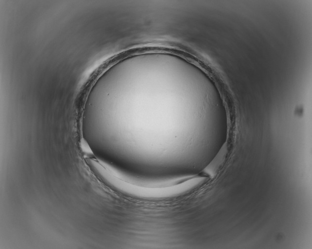 X0000116281360200912211810