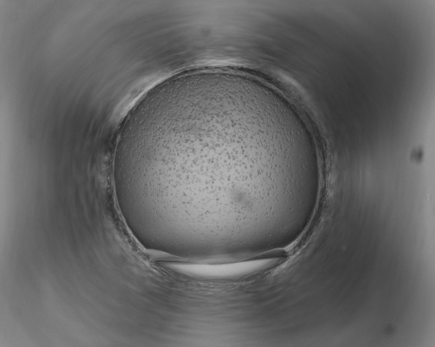 X0000116281361200912211810