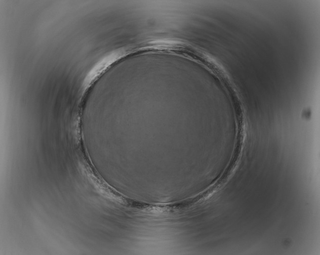 X0000116281362200912211810