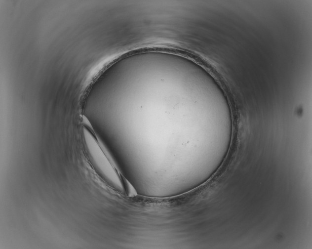 X0000116281363200912211810