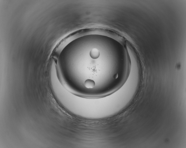 X0000116281364200912211810