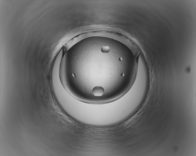 X0000116281365200912211810