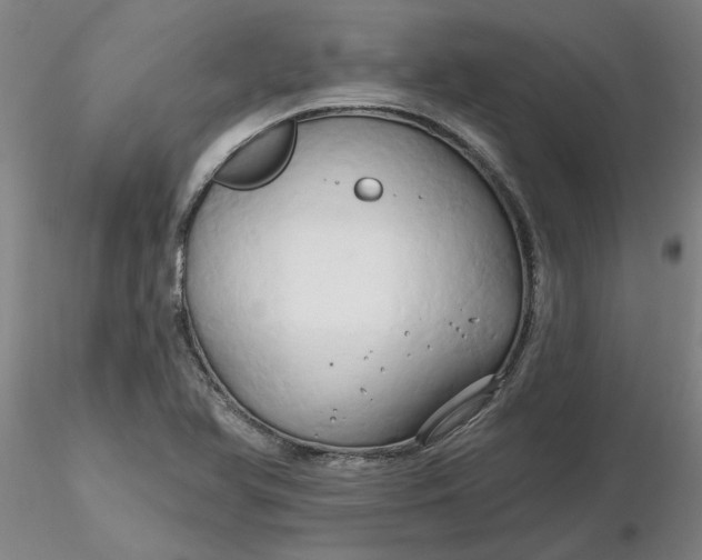 X0000116281366200912211810