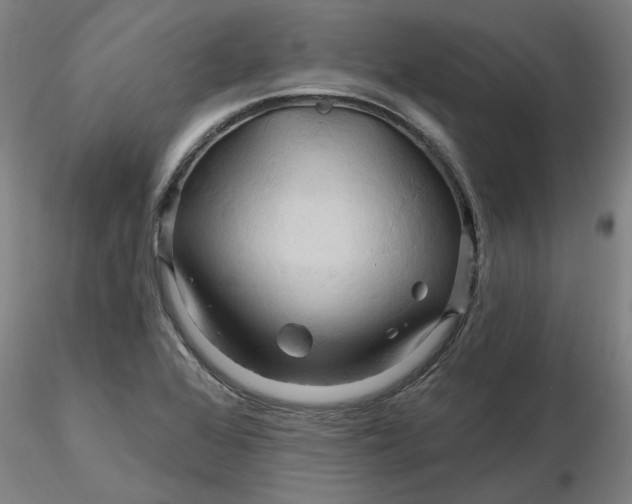 X0000116281368200912211810