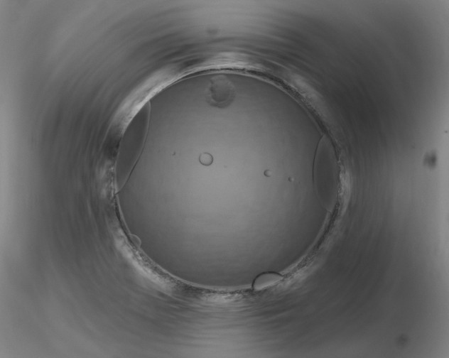 X0000116281369200912211810