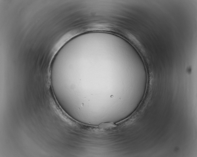 X0000116281370200912211810