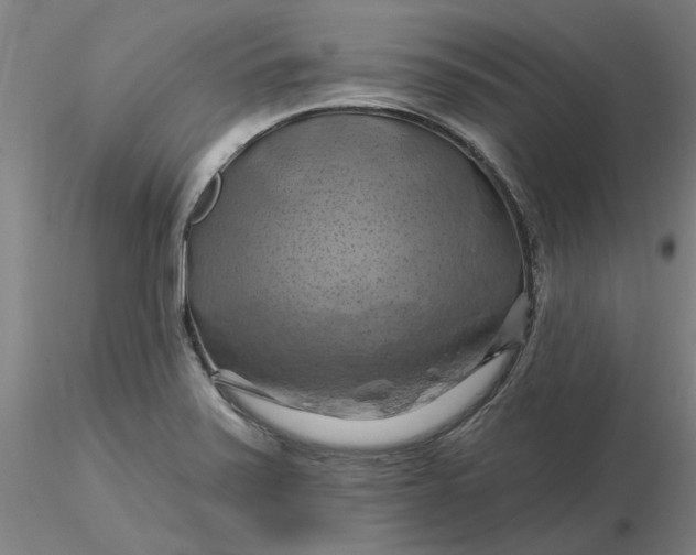 X0000116281371200912211810