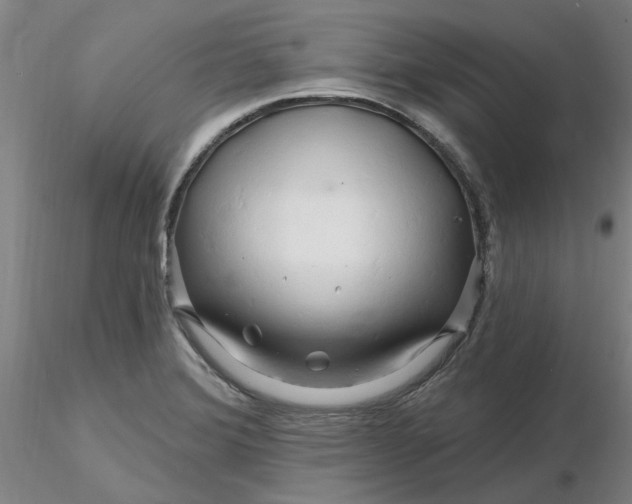 X0000116281372200912211810