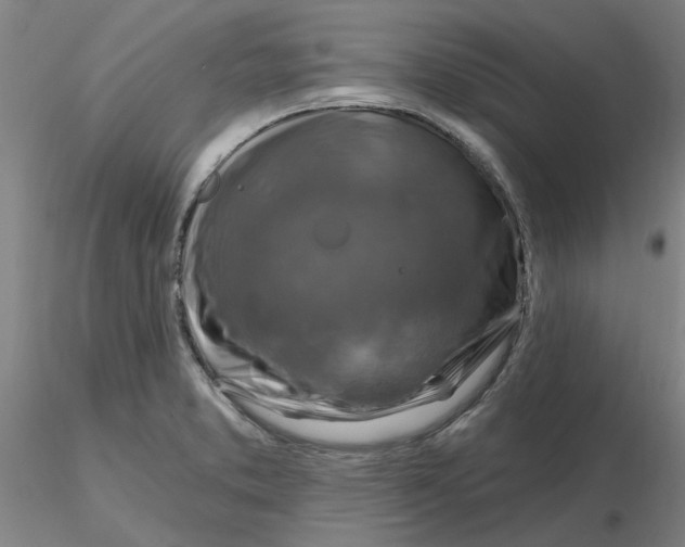 X0000116281373200912211810