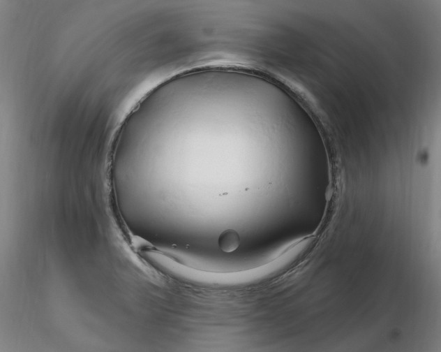 X0000116281375200912211810