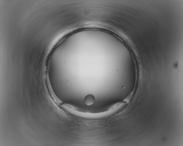 X0000116281376200912211810