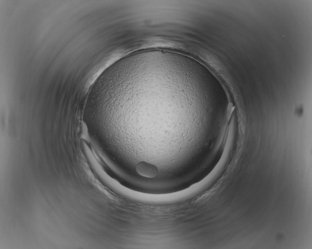 X0000116281377200912211810