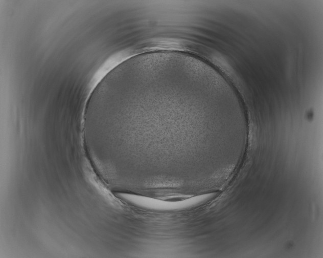 X0000116281378200912211810