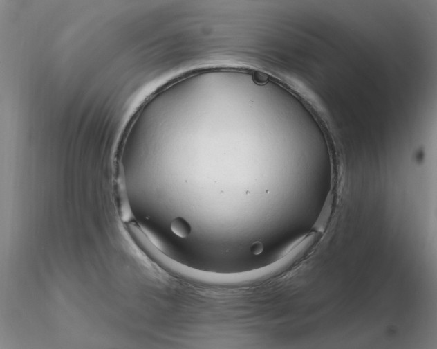 X0000116281380200912211810