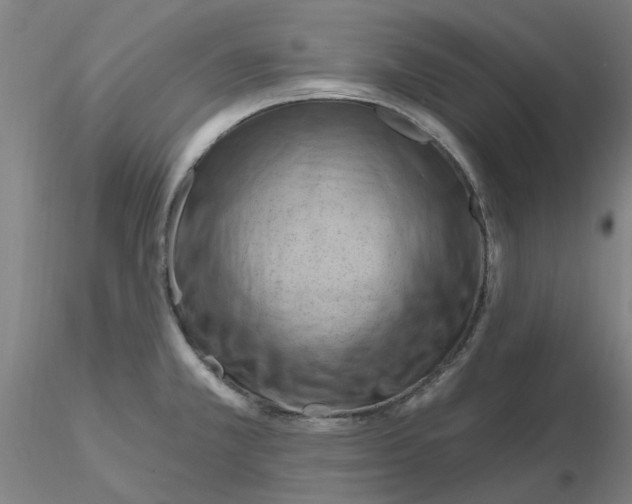 X0000116281381200912211810