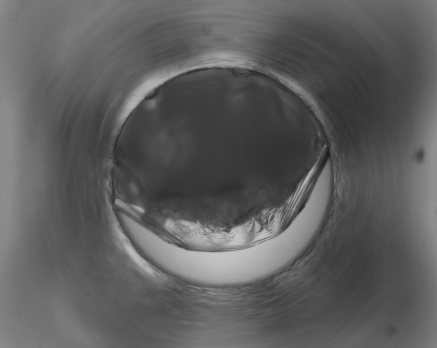 X0000116281383200912211810