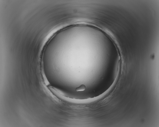 X0000116281384200912211810