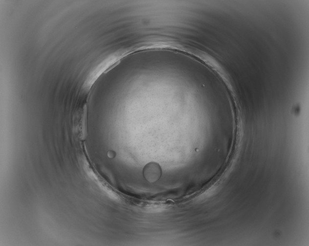 X0000116281385200912211810