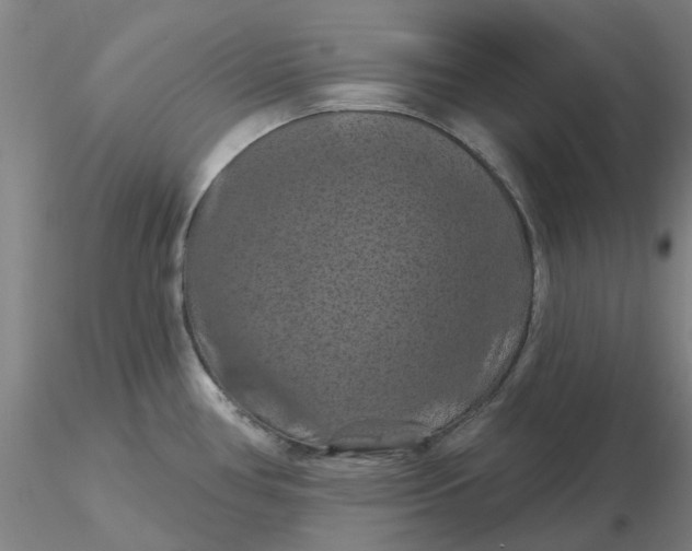 X0000116281386200912211810