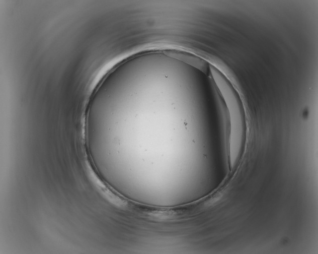 X0000116281388200912211810