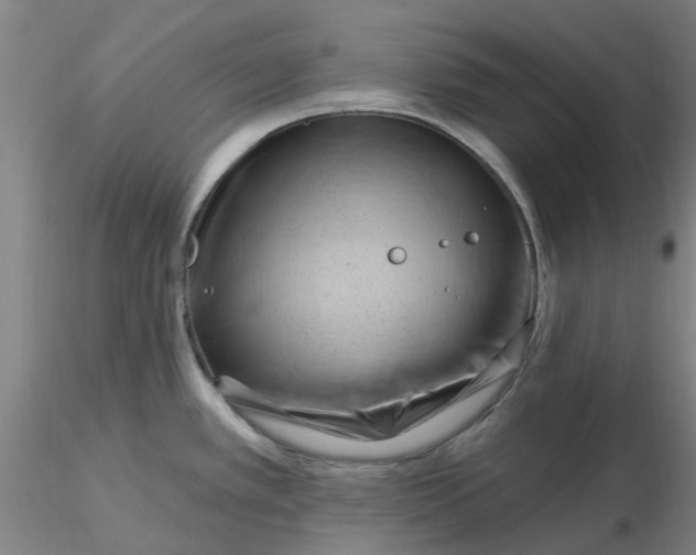 X0000116281389200912211810