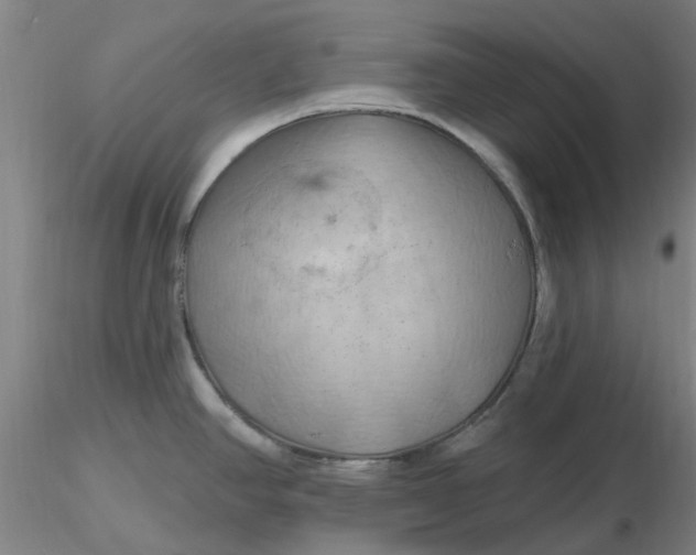 X0000116281390200912211810