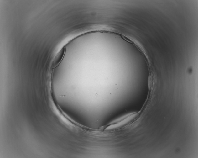 X0000116281391200912211810