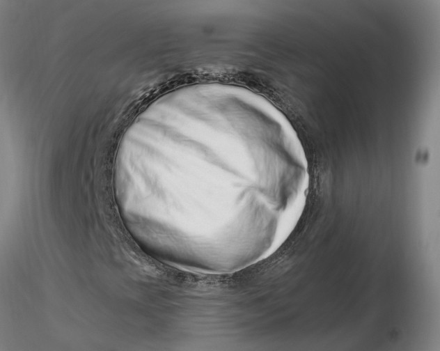 X0000116281393200912211809