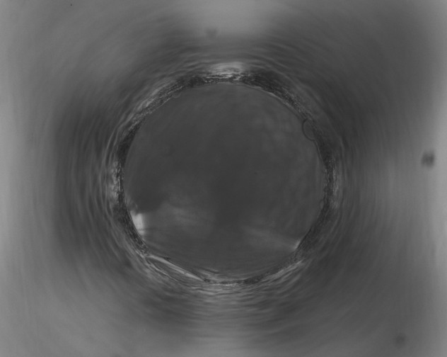 X0000116281394200912211809