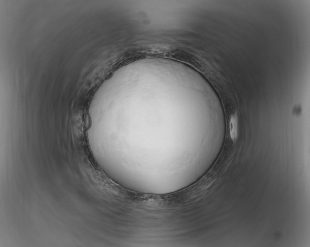 X0000116281395200912211809