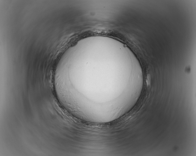 X0000116281396200912211809