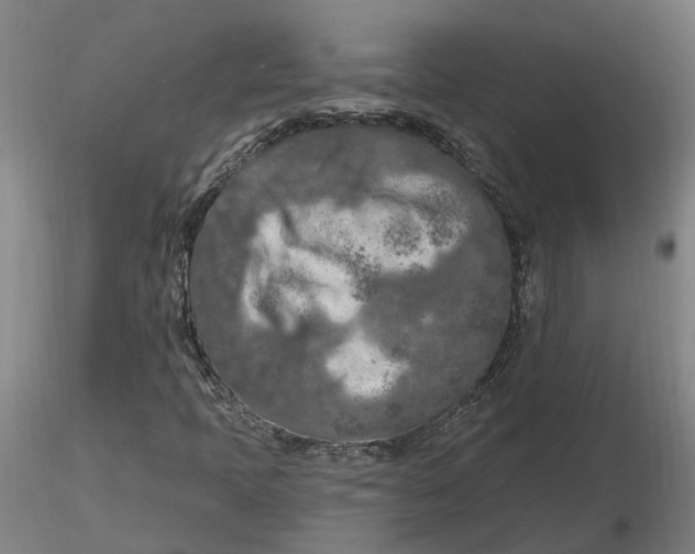 X0000116281397200912211809