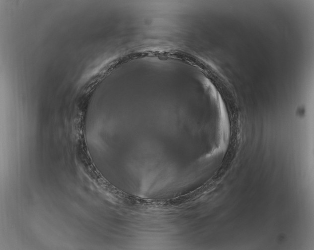 X0000116281399200912211809