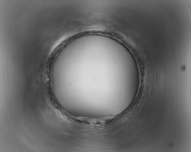 X0000116281400200912211809