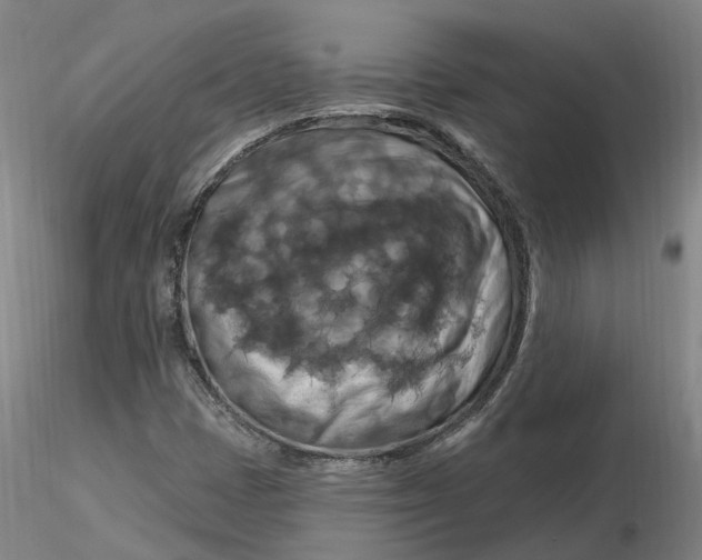 X0000116281401200912211809