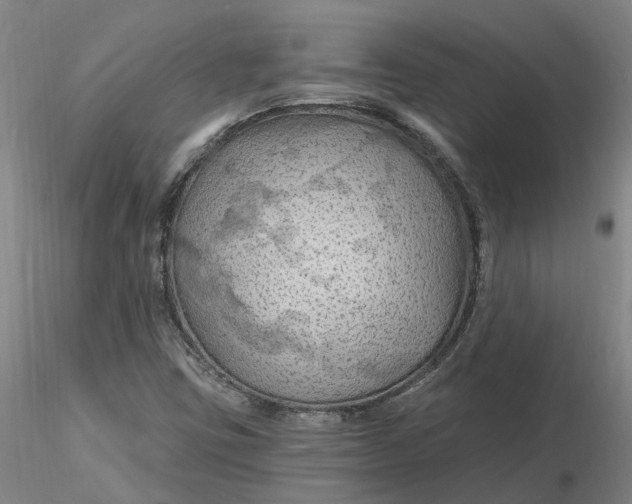 X0000116281403200912211809