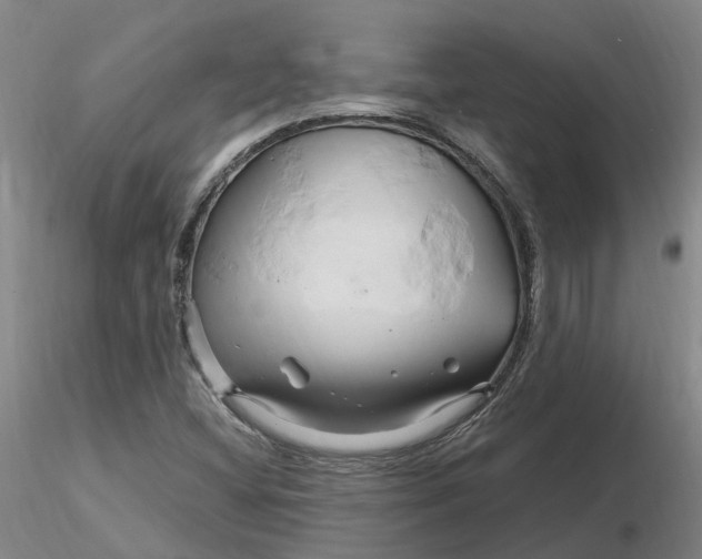 X0000116281404200912211809