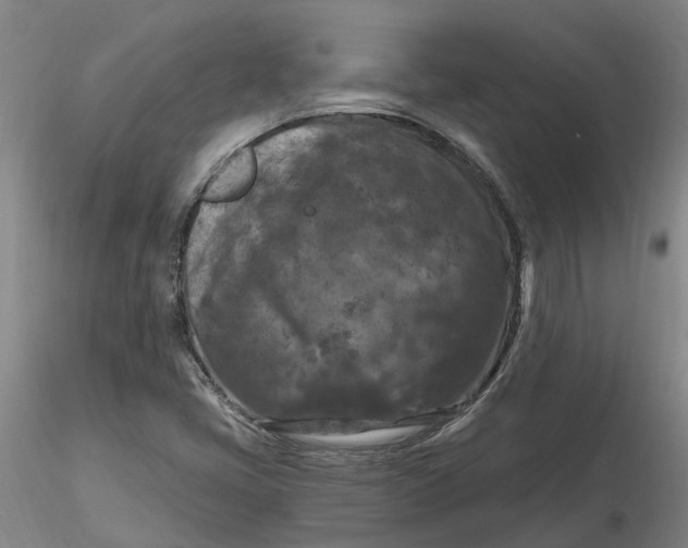 X0000116281405200912211809