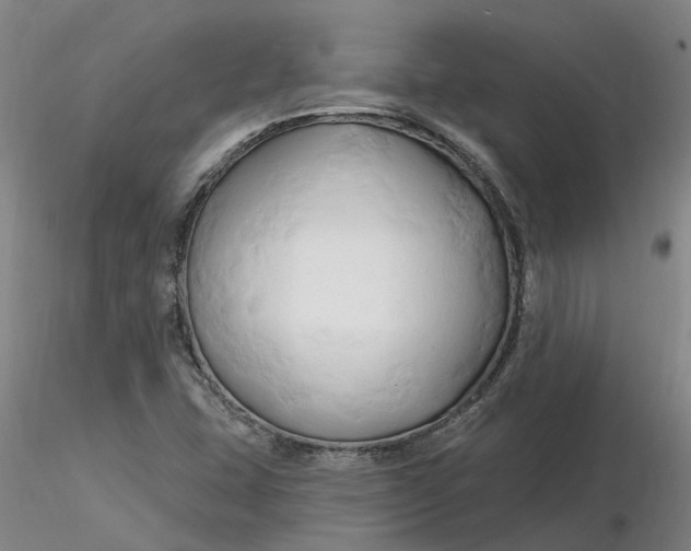 X0000116281407200912211809