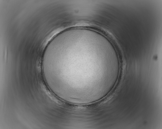 X0000116281409200912211809