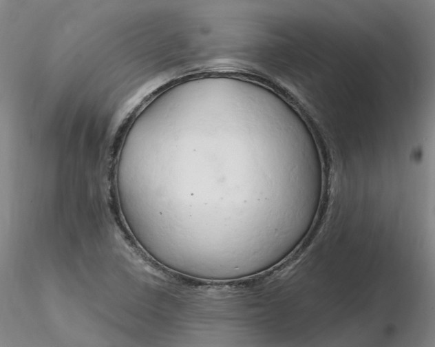 X0000116281410200912211809