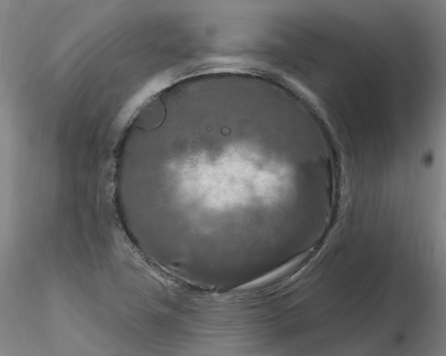 X0000116281411200912211809