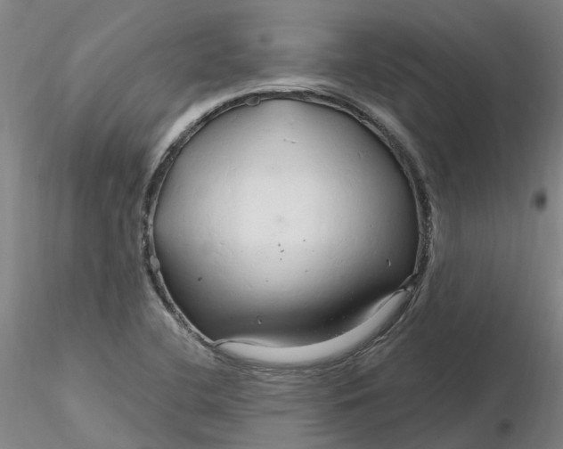 X0000116281412200912211809