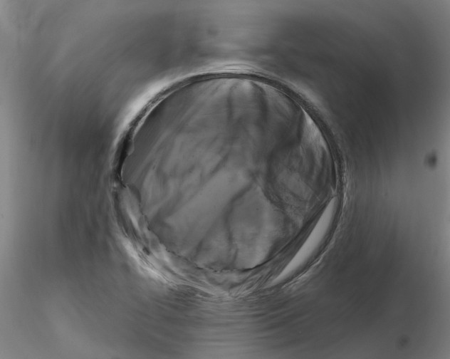 X0000116281414200912211809