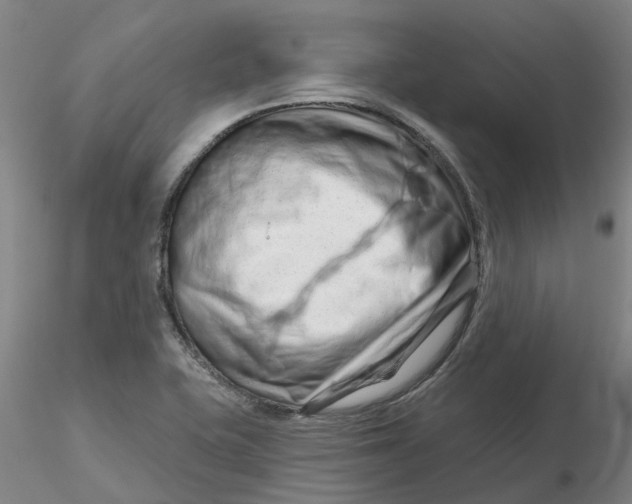 X0000116281415200912211809