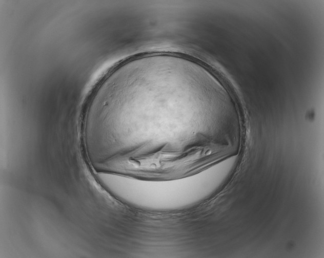 X0000116281416200912211809